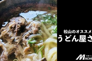 愛媛県人おすすめの松山市にある美味しい人気のうどん屋”7選”