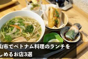松山市でベトナム料理のランチを楽しめるお店3選
