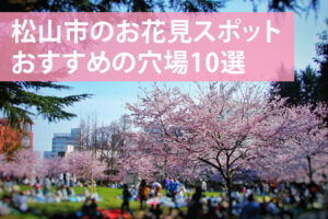 松山市のお花見穴場スポットおすすめ10選&夜桜ライトアップも！