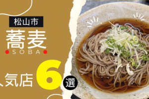 松山市で食べたい！絶品蕎麦と人気店を徹底ガイド