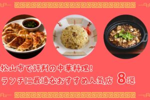 松山市で評判の中華料理！ランチに最適なおすすめ人気店8選