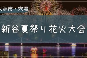 2025年 新谷夏祭り花火大会の穴場の場所をこっそり教えます