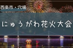 2025年 にゅうがわ花火大会の穴場の場所をこっそり教えます