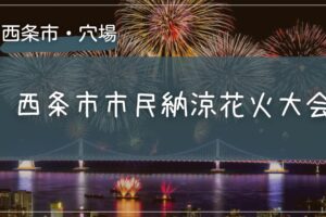 2025年 西条市市民納涼花火大会の穴場の場所をこっそり教えます