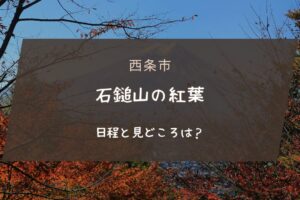 石鎚山の紅葉の日程と見どころは？
