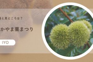 なかやま栗まつりの日程と見どころは？