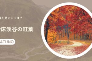 滑床渓谷の紅葉の日程と見どころは？