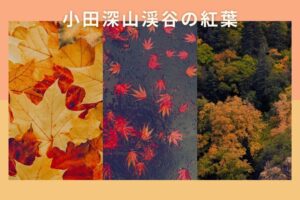 小田深山渓谷の紅葉の日程と見どころは？