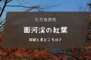 面河渓の紅葉の日程と見どころは？川に反射する幻想風景