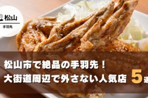 松山市で味わう絶品の手羽先！大街道周辺で外さない人気店まとめ