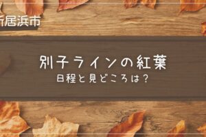 別子ラインの紅葉の見頃時期と見どころは？