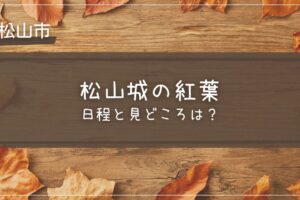 松山城の紅葉の見頃時期と見どころは？