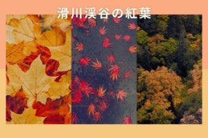 滑川渓谷の紅葉の見頃時期と見どころは？