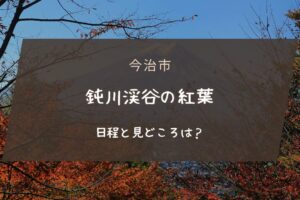 鈍川渓谷の紅葉の見頃時期と見どころは？