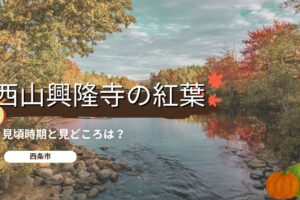 西山興隆寺の紅葉の見頃時期と見どころは？