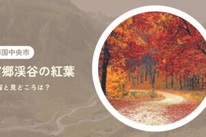 富郷渓谷の紅葉の見頃時期と見どころは？