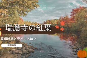 瑞應寺の紅葉の見頃時期と見どころは？
