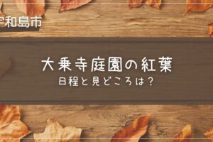 大乗寺庭園の紅葉の日程と見どころは？