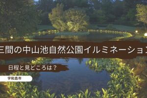 【2025年】三間の中山池自然公園イルミネーションの日程と見どころは？