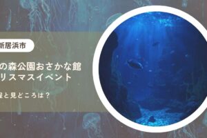 虹の森公園おさかな館クリスマスイベント ナイトアクアリウムの日程と見どころは？