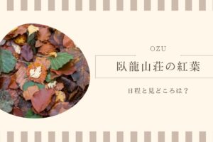 臥龍山荘の紅葉の日程と見どころは？